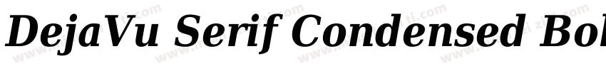 DejaVu Serif Condensed Bold字体转换
